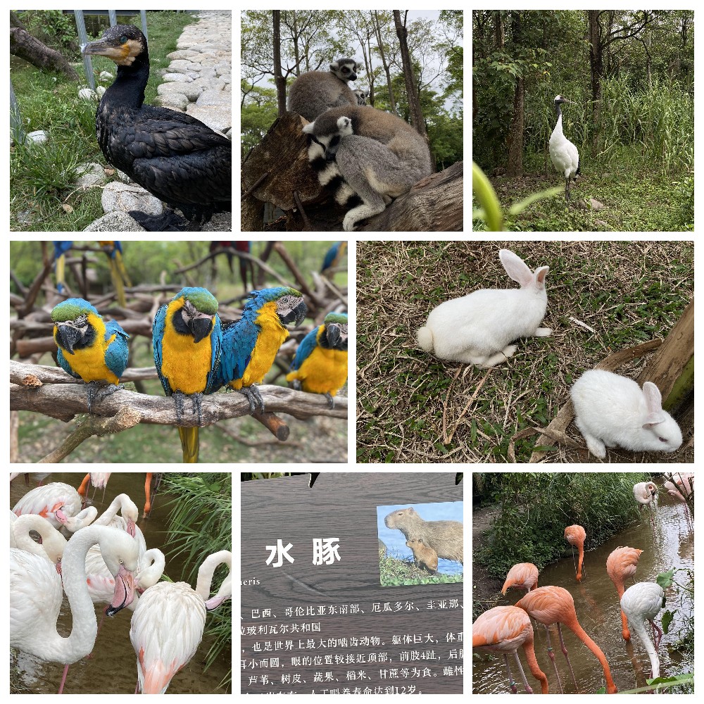厚積薄發(fā)，蓄力前行：大手牽小手，共圓實佳夢